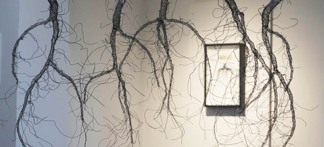 Revealed at Theatr Brycheiniog - hanging roots